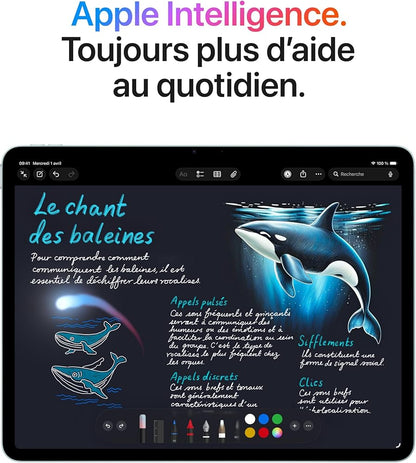 lPad Air 13 pouces 256 Go