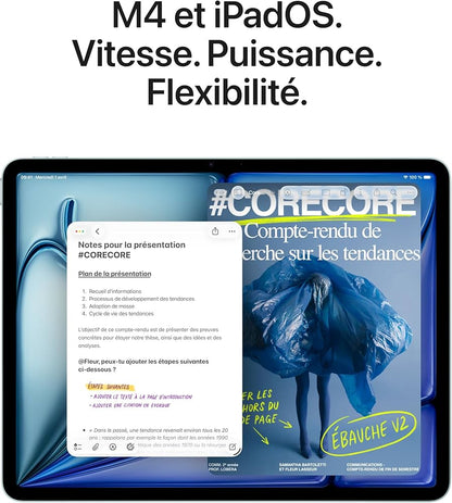 lPad Air 13 pouces 256 Go