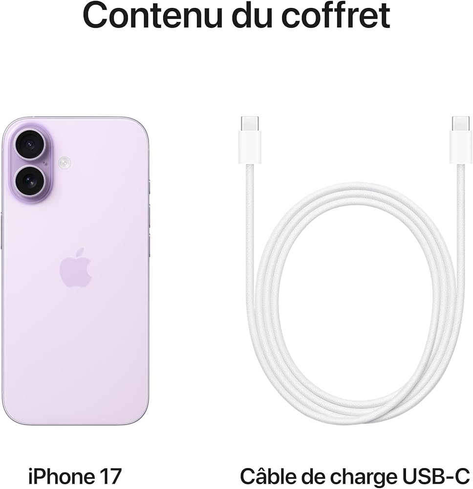 lPhone 16 256 Go